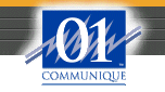 Remote Access Software